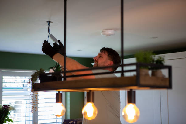 Best Electric Panel Repair  in Sardis, MS